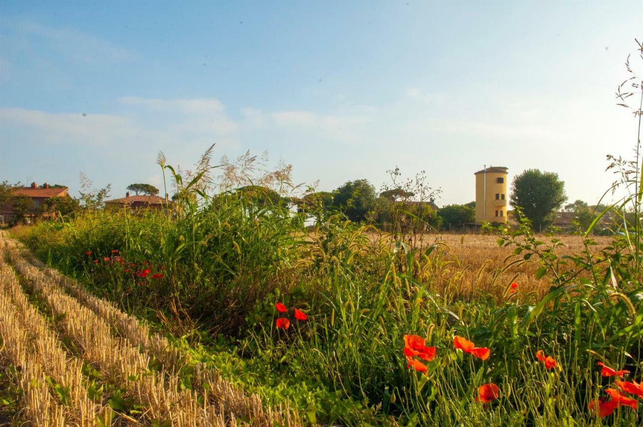 Il Silos Maccarese Dış mekan fotoğraf